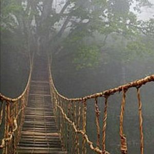 Meet your Posher, Clarence